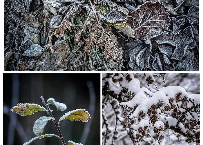 Plan B * Bad Kleinkirchheim